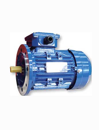 MS(IE2) series three-phase asynchronous motor