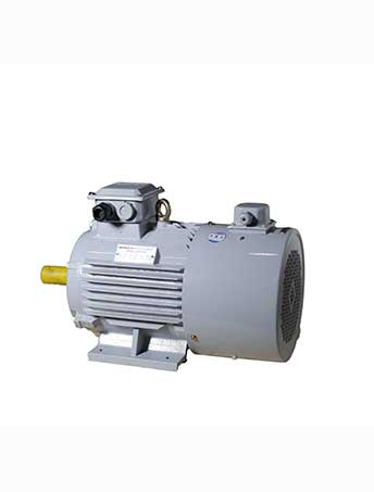 YVF2 series variable frequency speed regulating three-phase asynchronous motor